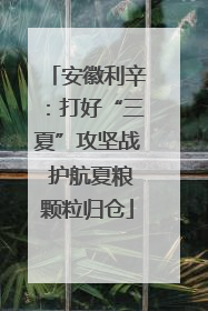 安徽利辛：打好“三夏”攻坚战 护航夏粮颗粒归仓