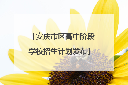 安庆市区高中阶段学校招生计划发布