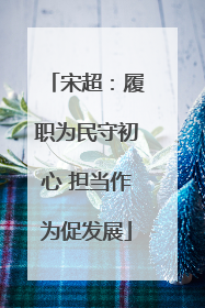 宋超：履职为民守初心 担当作为促发展
