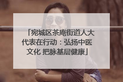 宛城区茶庵街道人大代表在行动：弘扬中医文化 把脉基层健康