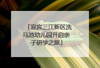 宜宾三江新区洗马池幼儿园开启亲子研学之旅