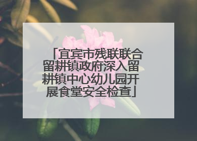 宜宾市残联联合留耕镇政府深入留耕镇中心幼儿园开展食堂安全检查