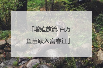 增殖放流 百万鱼苗跃入富春江