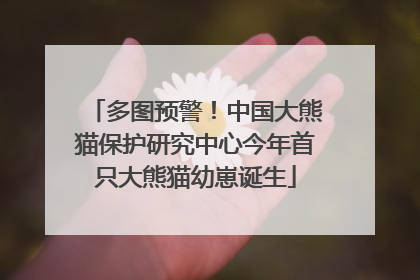 多图预警！中国大熊猫保护研究中心今年首只大熊猫幼崽诞生