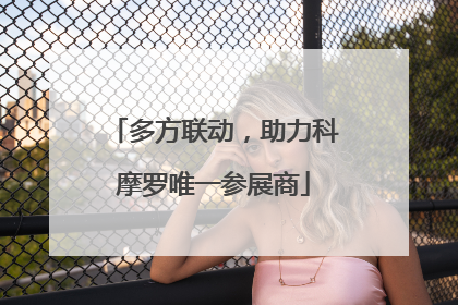 多方联动，助力科摩罗唯一参展商