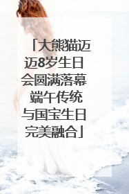大熊猫迈迈8岁生日会圆满落幕 端午传统与国宝生日完美融合