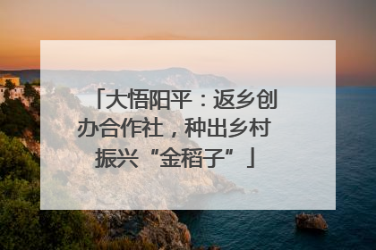 大悟阳平：返乡创办合作社，种出乡村振兴“金稻子”