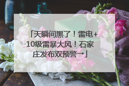 天瞬间黑了！雷电+10级雷暴大风！石家庄发布双预警→