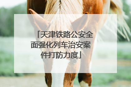 天津铁路公安全面强化列车治安案件打防力度