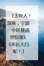 太吓人！深夜，宁波一小区楼道里惊现1.5米长大白蛇！