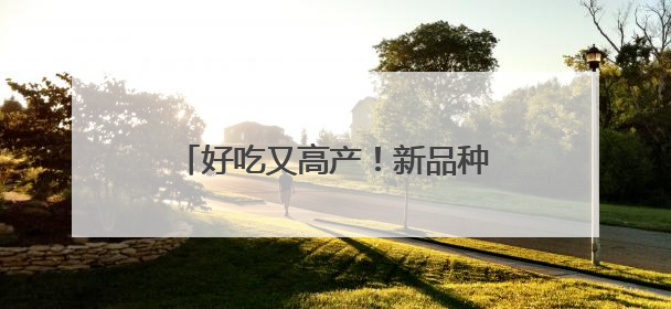 好吃又高产！新品种为安徽蔬菜产业高质发展注入科技动能