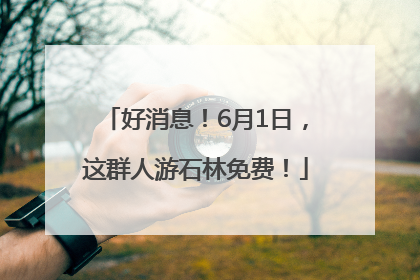 好消息！6月1日，这群人游石林免费！