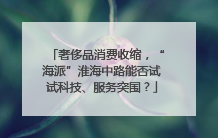奢侈品消费收缩，“海派”淮海中路能否试试科技、服务突围？