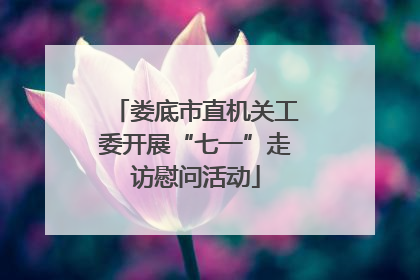 娄底市直机关工委开展“七一”走访慰问活动