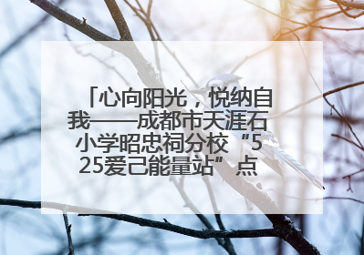 心向阳光，悦纳自我——成都市天涯石小学昭忠祠分校“525爱己能量站”点亮孩子心灵之旅