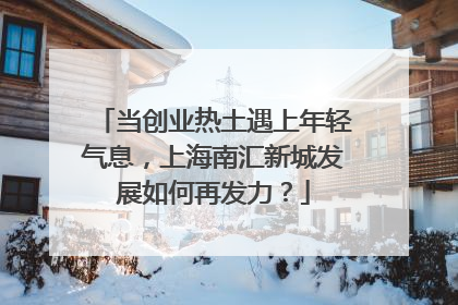 当创业热土遇上年轻气息，上海南汇新城发展如何再发力？