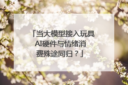 当大模型接入玩具 AI硬件与情绪消费殊途同归？