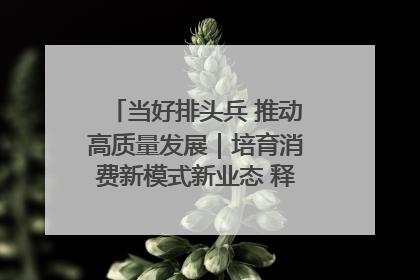 当好排头兵 推动高质量发展｜培育消费新模式新业态 释放经济增长新动能