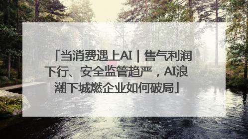 当消费遇上AI｜售气利润下行、安全监管趋严，AI浪潮下城燃企业如何破局