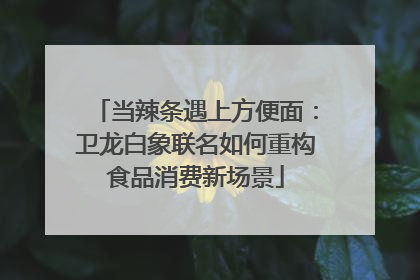 当辣条遇上方便面：卫龙白象联名如何重构食品消费新场景