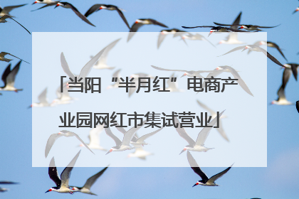 当阳“半月红”电商产业园网红市集试营业