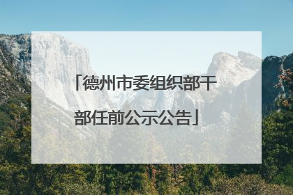 德州市委组织部干部任前公示公告