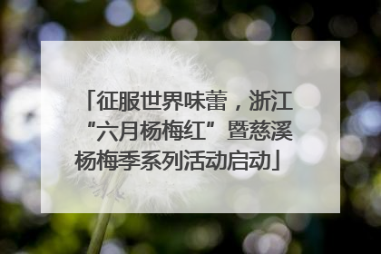 征服世界味蕾，浙江“六月杨梅红”暨慈溪杨梅季系列活动启动
