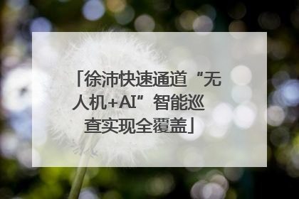 徐沛快速通道“无人机+AI”智能巡查实现全覆盖
