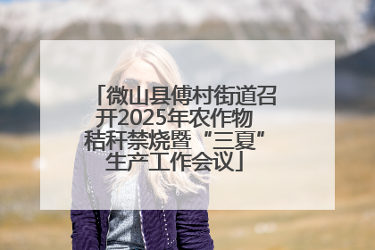 微山县傅村街道召开2025年农作物秸秆禁烧暨“三夏”生产工作会议