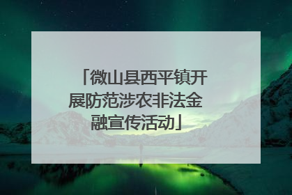 微山县西平镇开展防范涉农非法金融宣传活动