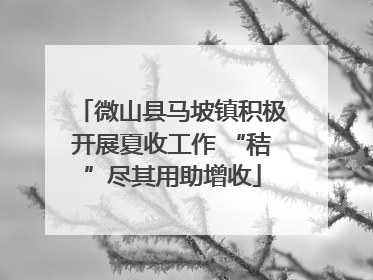 微山县马坡镇积极开展夏收工作 “秸”尽其用助增收