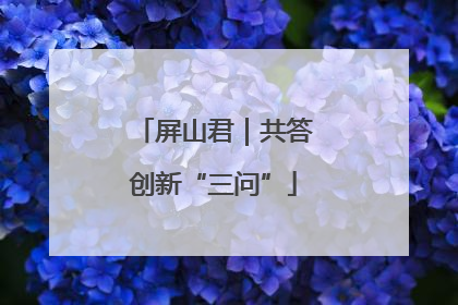屏山君｜共答创新“三问”