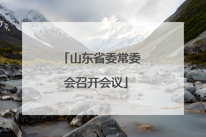 山东省委常委会召开会议
