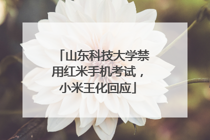山东科技大学禁用红米手机考试，小米王化回应