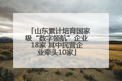 山东累计培育国家级“数字领航”企业18家 其中民营企业牵头10家