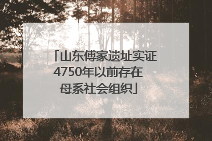 山东傅家遗址实证4750年以前存在母系社会组织