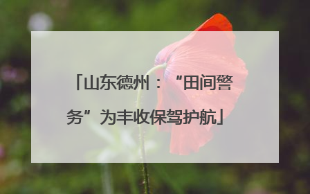 山东德州：“田间警务”为丰收保驾护航