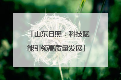 山东日照：科技赋能引领高质量发展