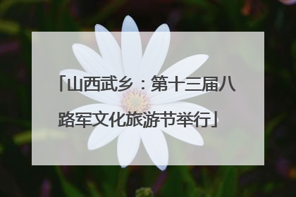 山西武乡：第十三届八路军文化旅游节举行