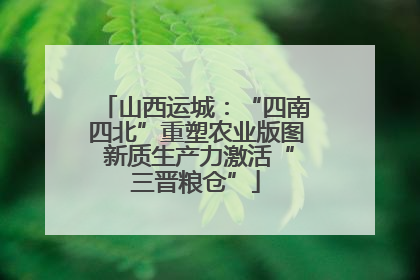 山西运城：“四南四北”重塑农业版图 新质生产力激活“三晋粮仓”