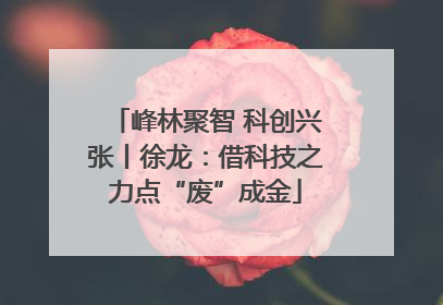 峰林聚智 科创兴张丨徐龙：借科技之力点“废”成金