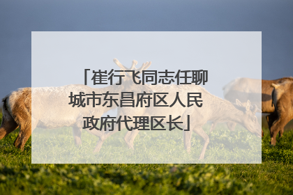 崔行飞同志任聊城市东昌府区人民政府代理区长