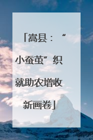 嵩县：“小蚕茧”织就助农增收新画卷