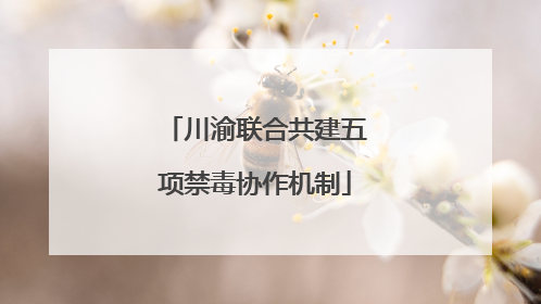 川渝联合共建五项禁毒协作机制