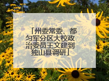州委常委、都匀军分区大校政治委员王文建到独山县调研