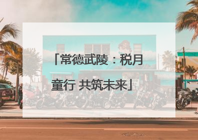 常德武陵：税月童行 共筑未来