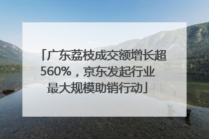 广东荔枝成交额增长超560%，京东发起行业最大规模助销行动