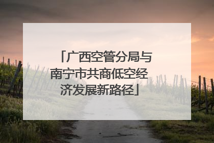 广西空管分局与南宁市共商低空经济发展新路径