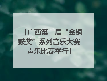 广西第二届“金铜鼓奖”系列音乐大赛声乐比赛举行