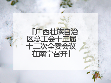 广西壮族自治区总工会十三届十二次全委会议在南宁召开
